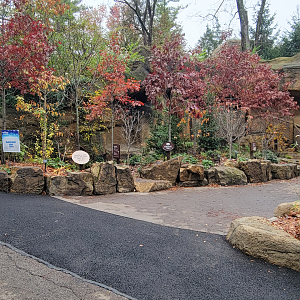 Nov. 2025 - NEW! Bear Ridge - Upper Entrance