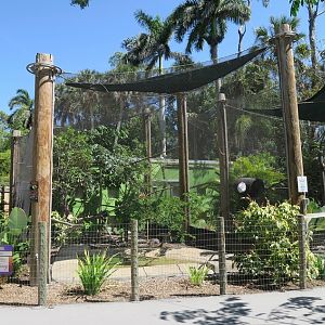 South American Trail - Sloths, tucans & tortoise