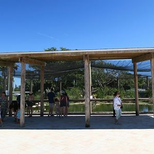 Flamingo aviary at the entrance