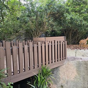 Nyala feeding platform