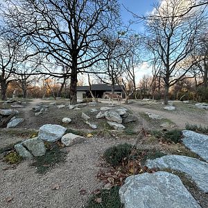 Persian Onager Exhibit (New in 2025)