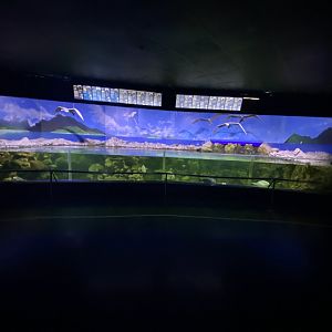 Mixed tidal aquarium