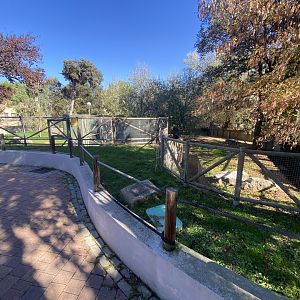Southern cassowary enclosure
