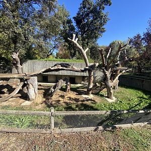 2nd view of binturong enclosure