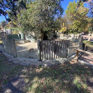 Patagonian Mara enclosure