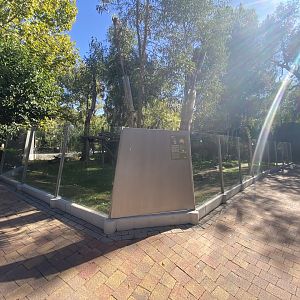 Outdoor koala enclosure