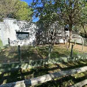 2nd outdoor koala enclosure