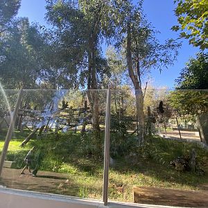 2nd view of outdoor koala enclosure