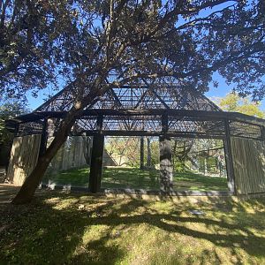 3rd view of chimpanzee enclosure