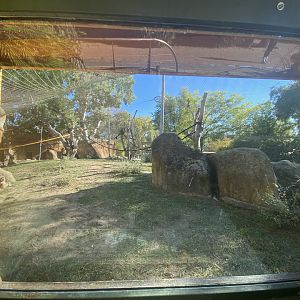 2nd view of Bornean orangutan and Lar gibbon enclosure