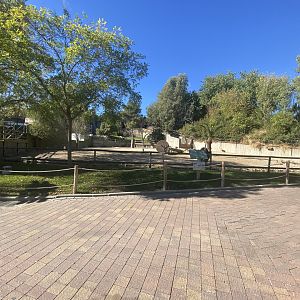Ostrich and Dorcas gazelles enclosure