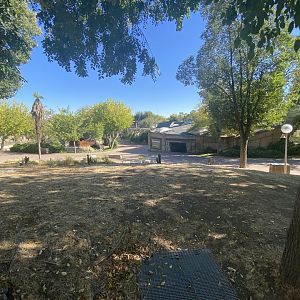 View of orangutan house