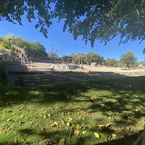 View of mixed African enclosure