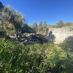 2nd view of Asiatic black bear enclosure