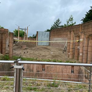 Elephant bull yard 2023