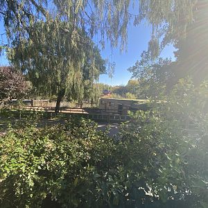 View of greater one-horned rhino enclosure