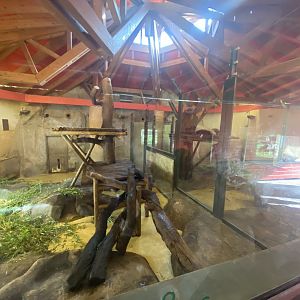 View of indoor giant panda enclosures