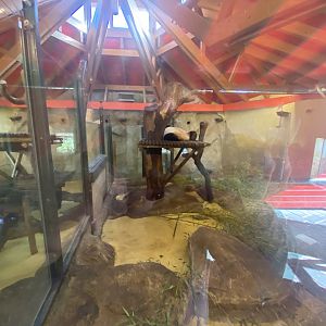 2nd indoor giant panda enclosure