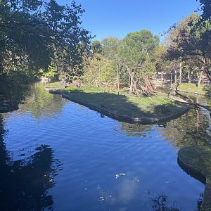 2nd view of black-capped capuchin enclosure