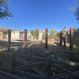 View of Sumatran elephant enclosure