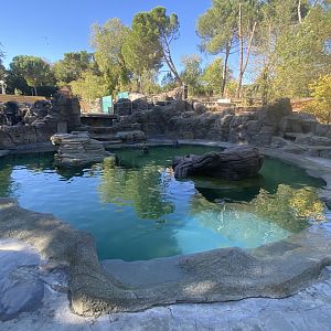 View of grey seal enclosure