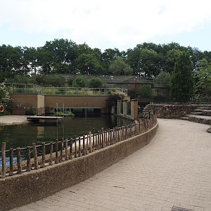 Walkway and Eastern Atlantic harbor seal exhibit, 2025-05-22