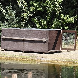 Transport or training crate in the Eastern Atlantic harbor seal exhibit, 2025-05-22