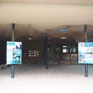 Harbor seal and Humboldt penguin underwater viewing area with education about plastic pollution, 2025-05-22