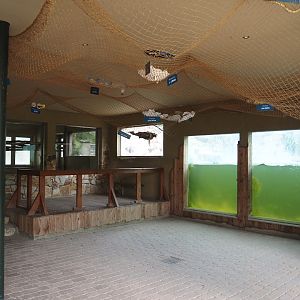 Humboldt penguin underwater and penguin/Inca tern indoor holding viewing windows, and plastic pollution education, 2025-05-22