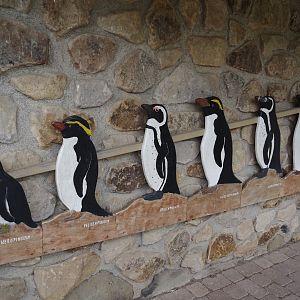 Penguin species size comparison in the entrance to the Humboldt penguin and Inca tern aviary, 2025-05-22