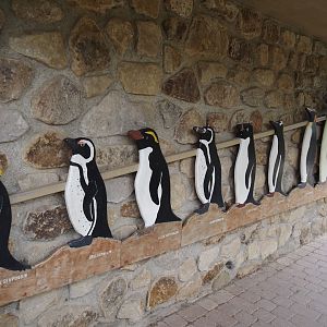 Penguin species size comparison in the entrance to the Humboldt penguin and Inca tern aviary, 2025-05-22