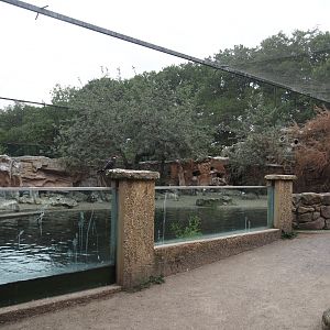 Humboldt penguin and Inca tern aviary, 2025-05-22