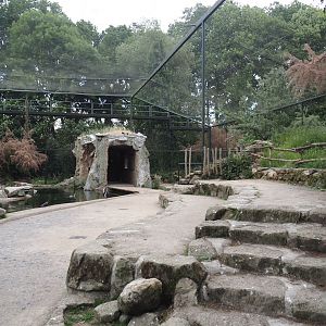 Humboldt penguin and Inca tern aviary - Visitor area, 2025-05-22