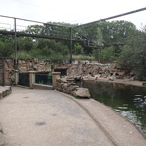 Humboldt penguin and Inca tern aviary, 2025-05-22