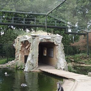 Humboldt penguin and Inca tern aviary - Cliff with education and walkway to exit, 2025-05-22