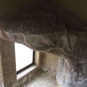 Mock-up of penguin nesting cavity with viewing window for kids, 2025-05-22