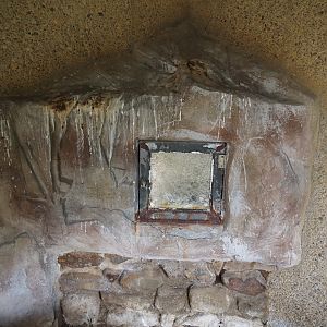 Looks into penguin nesting cavity, but with window covered in poop, 2025-05-22