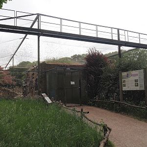 Exit of the Humboldt penguin and Inca tern aviary, 2025-05-22