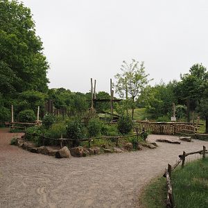 First viewing area for the Indian sloth bear and European golden jackal exhibit, 2025-05-22
