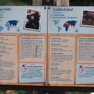 Species signage example - Indian sloth bear and European golden jackal, 2025-05-22