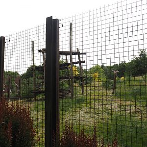 Indian sloth bear and European golden jackal exhibit, 2025-05-22