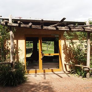 Insect house next to the Indian sloth bear and European golden jackal exhibit, 2025-05-22