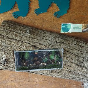 Titan isopod terrarium, 2025-05-22