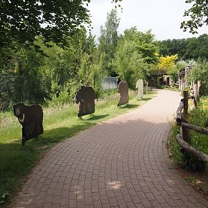 Walkway next to Indian sloth bear and European golden jackal exhibit, with life-sized bear cut-outs, 2025-05-22