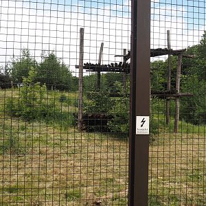 Indian sloth bear and European golden jackal exhibit, 2025-05-22