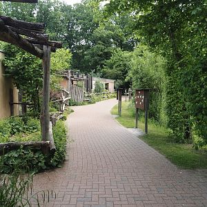 Walkway with bear education next to the Indian sloth bear and European golden jackal exhibit, 2025-05-22