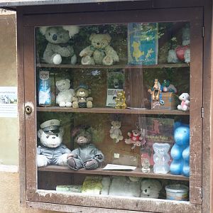 Bear objects (And a non-bear object) display, 2025-05-22