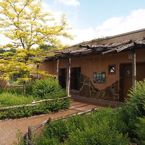 Indian sloth bear exhibit viewing area, 2025-05-22