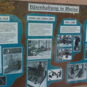 History of bear holding at Rheine signage, 2025-05-22