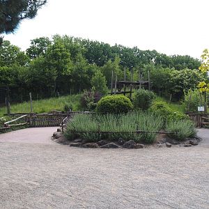 Viewing area for the Indian sloth bear and European golden jackal exhibit, 2025-05-22
